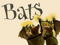 Bats