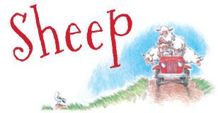 Sheep