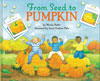 From Seed to Pumpkin