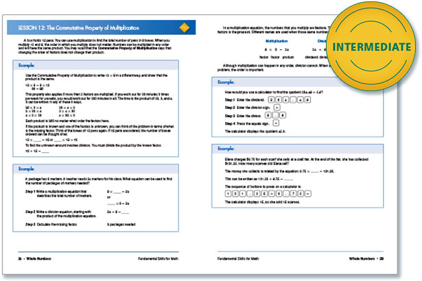 Intermediate 3 - Steck-Vaughn® Fundamental Skills 