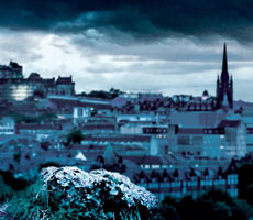 Detective Inspector McLean Series